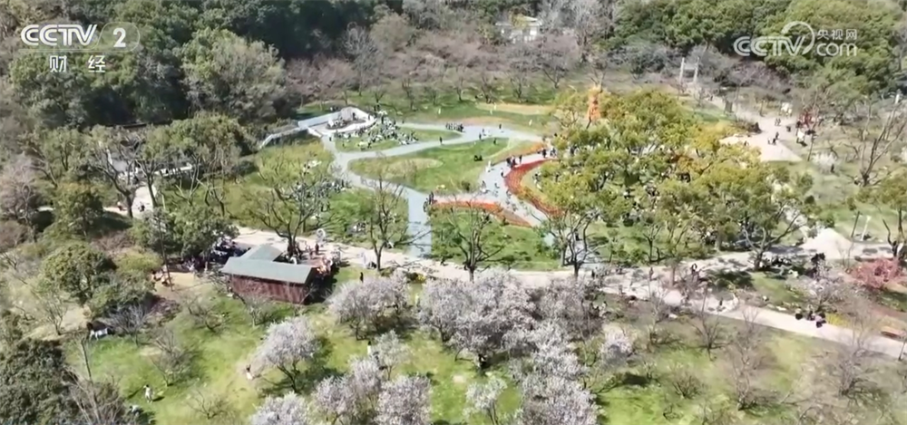 “花”经济“一路繁花”撬动文旅新消费 为乡村振兴“景”上添彩(图1)
