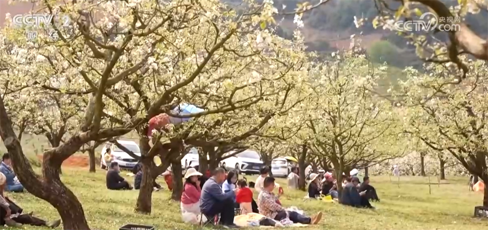 “花”经济“一路繁花”撬动文旅新消费 为乡村振兴“景”上添彩(图9)