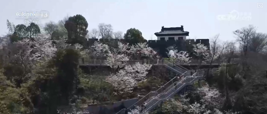 春赏花、夏榨油、秋收粮 “赏花+”扮“靓”经济新增长点(图9)