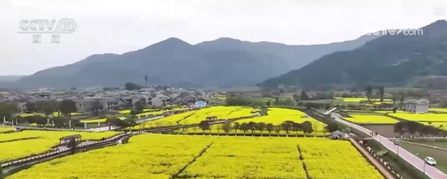 惠民措施与新业态激发市场潜能 多地创新举措掀起新一轮文旅消费热潮(图1)
