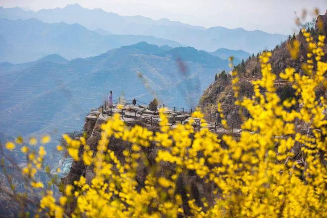 喜报！潭溪山斩获五项省级文旅大奖！峡谷樱花+野奢度假引爆春日经济！(图16)