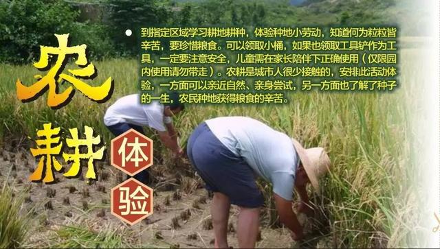 大连遛娃好去处户外亲子游玩攻略轻松拍出大片感！
