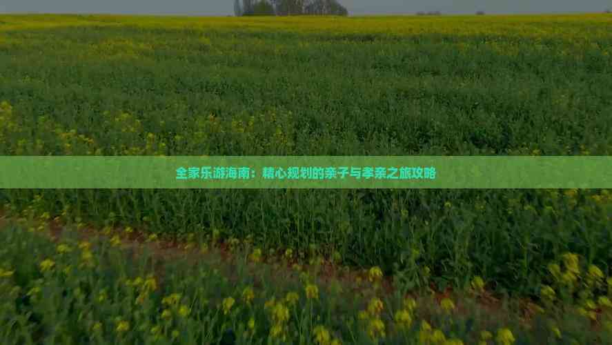 全家乐游海南：精心规划的亲子与孝亲之旅攻略(图4)