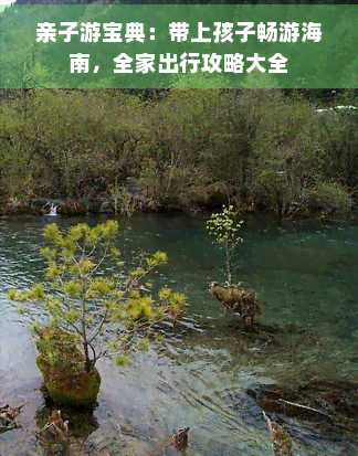 亲子游宝典：带上孩子畅游海南全家出行攻略大全(图1)