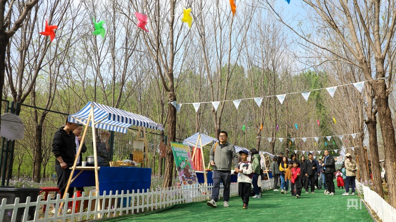 中国北京种业大会系列活动在大兴区长子营镇举办(图1)