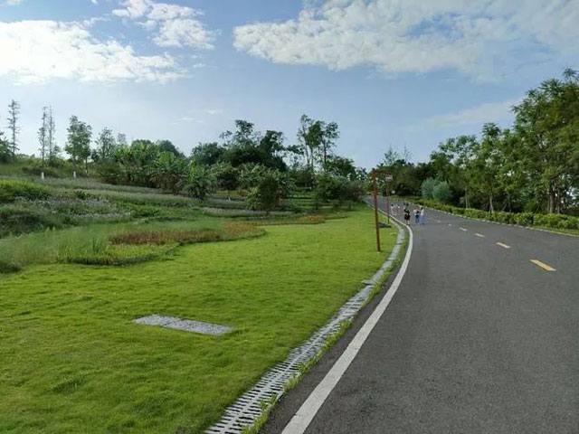 乡村行·看振兴）“一只龙虾”的跨界三重奏