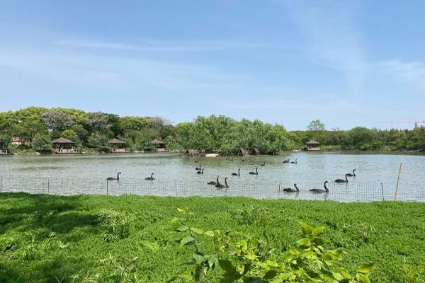 “五一”假期 山西消费市场拓展场景 释放潜力