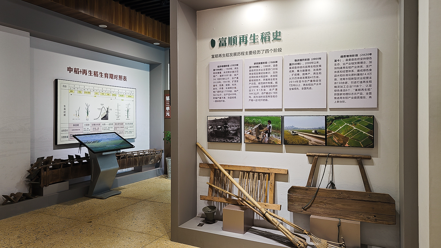 自贡富顺：橘创空间与再生稻博物馆见证“小作物、大产业”发展(图3)