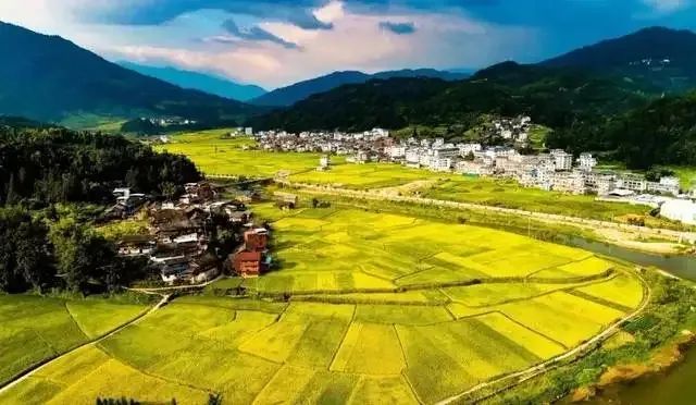 兰州牛肉拉面大力探索文旅融合新路径重构饮食文化符号 打造拉面IP矩阵