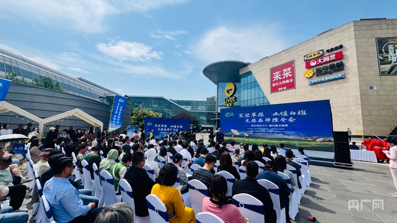 内蒙古正镶白旗进京推介“星空草原”文旅品牌(图1)
