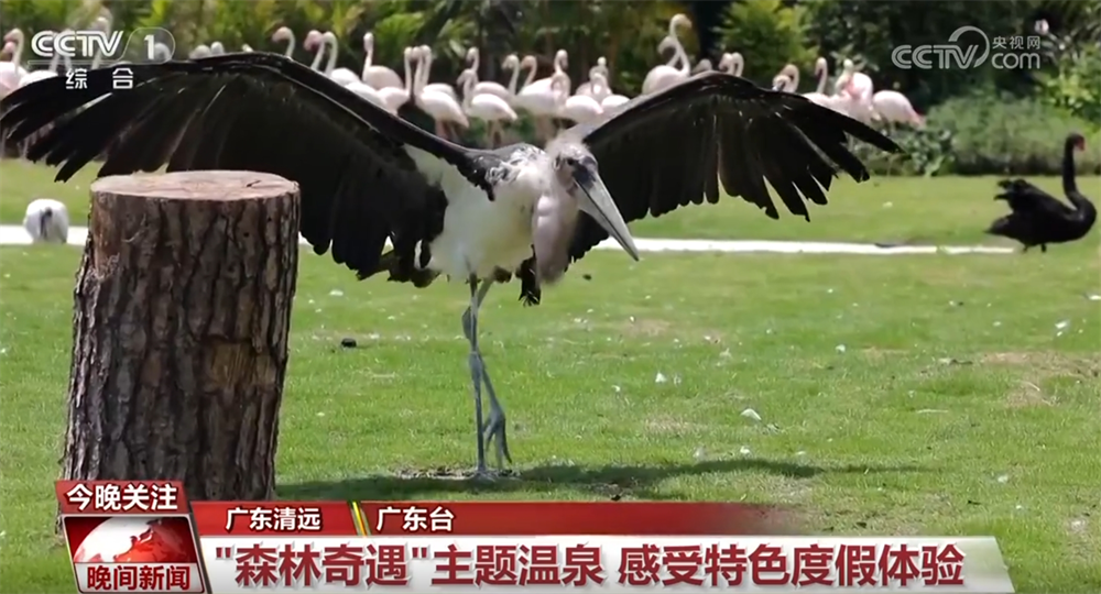 从“观光式”向“沉浸式”转变 “五一”假期文旅消费“热力值”持续攀升(图4)