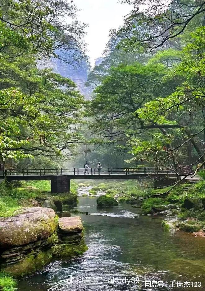 张家界旅行团三天两晚旅行攻略：亲子、老年、情侣全适配快来抢(图4)