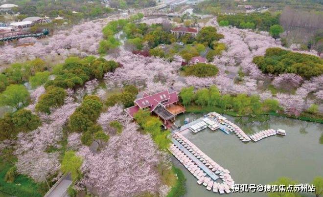 上海宝山招商时代乐章售楼处电话-小区环境-招商时代乐章-营销中心热线-楼盘详情(图16)