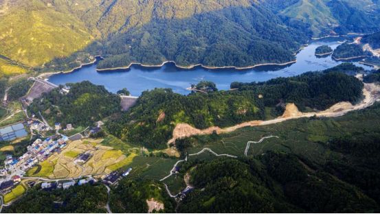 2025中国福州国际招商月丨闽清县汇聚招商合力打造产业新高地(图7)