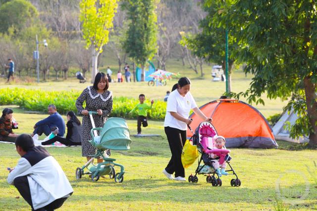 玩水撒欢、赛车狂飙、云端飞行、山林溯溪……江门这个宝藏打卡地承包夏日狂欢
