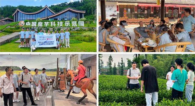校地协同绘新篇：数字文创助力沐川文旅破圈 三下乡团队交出亮眼答卷(图2)