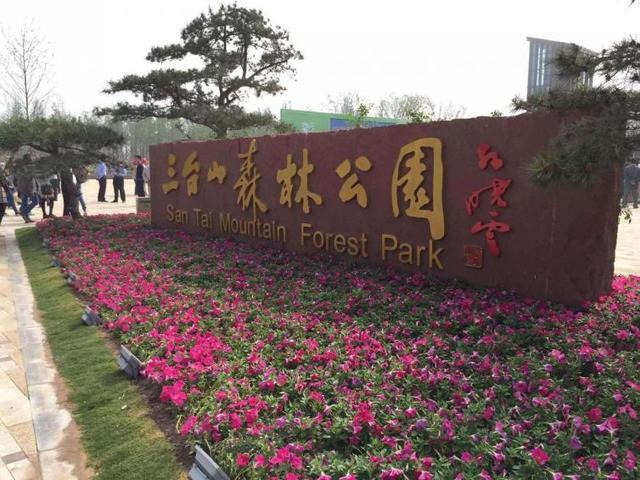 周末上海亲子休闲游去哪好玩(图8)