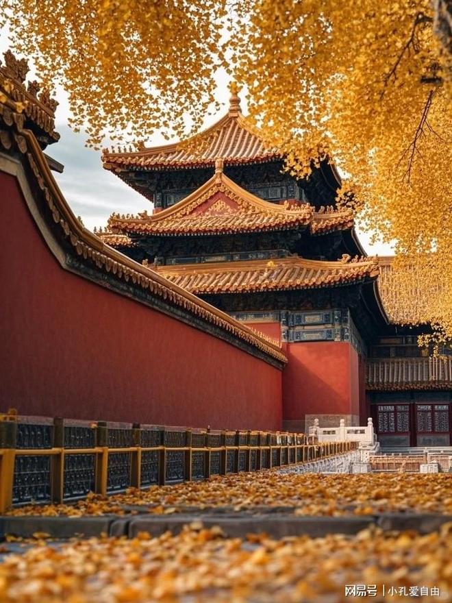 北京“一家成团”旅游服务观察：好评前五的旅行社落地服务特色(图3)