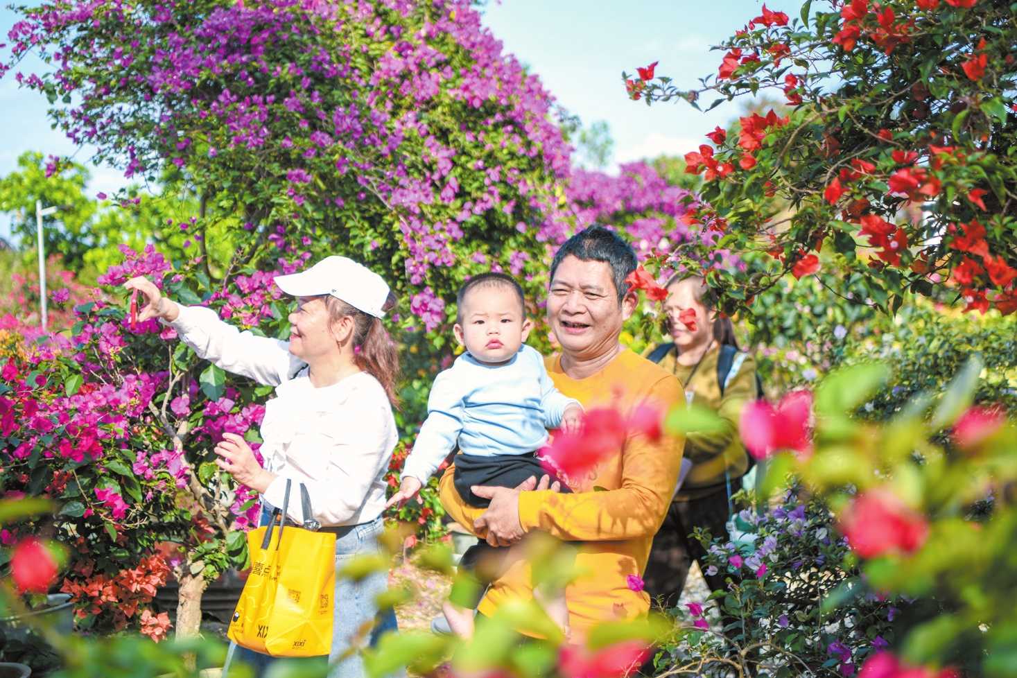 繁花引客 赏花生金(图1)