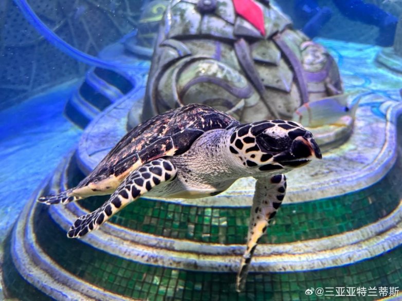 春假亲子出游目的地TOP10发布：厦门园博苑花灯乐园入选全国热门亲子打卡地(图18)