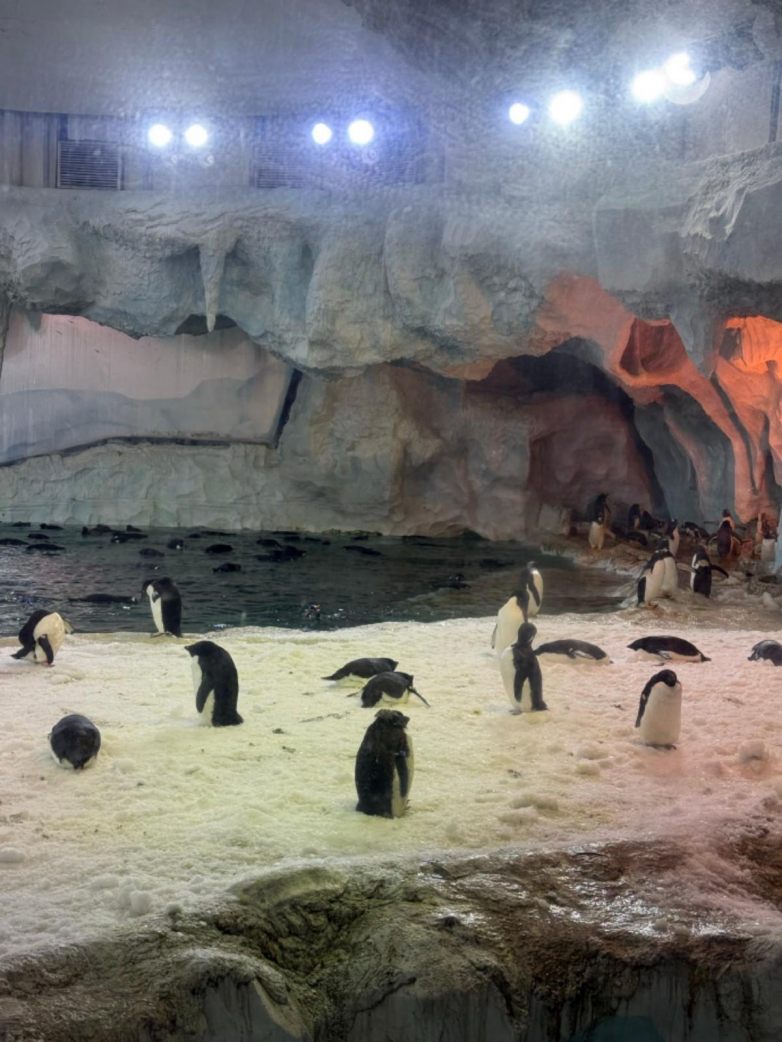 春假亲子出游目的地TOP10发布：厦门园博苑花灯乐园入选全国热门亲子打卡地(图15)