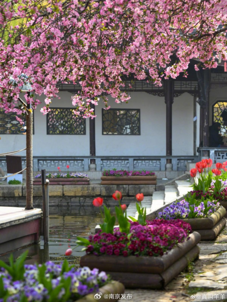 春假亲子出游目的地TOP10发布：厦门园博苑花灯乐园入选全国热门亲子打卡地(图20)