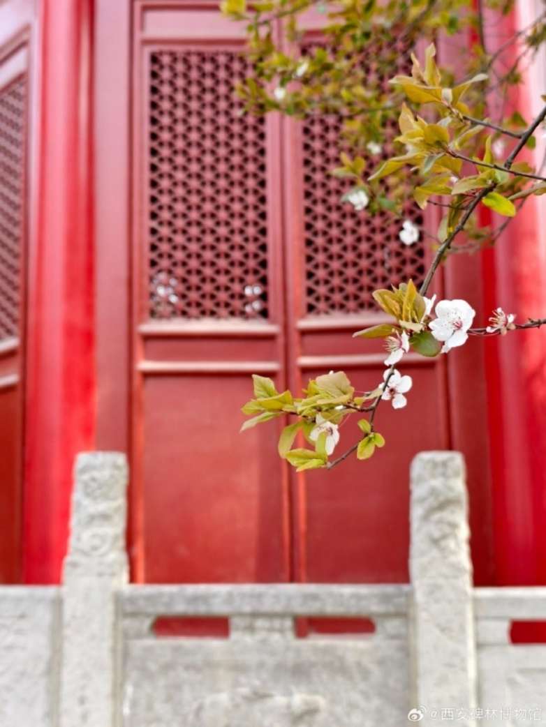 春假亲子出游目的地TOP10发布：厦门园博苑花灯乐园入选全国热门亲子打卡地(图22)