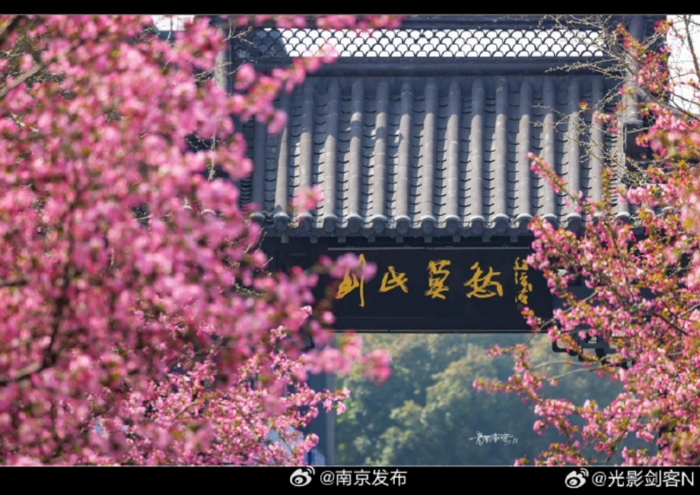 春假亲子出游目的地TOP10发布：厦门园博苑花灯乐园入选全国热门亲子打卡地(图21)