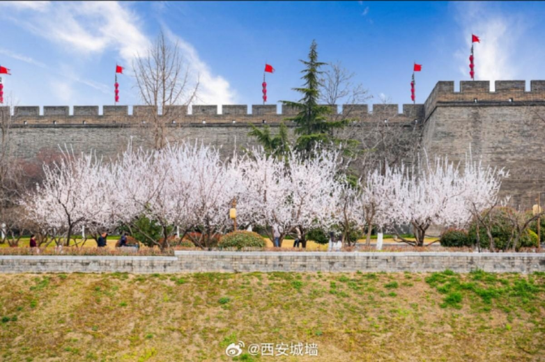 春假亲子出游目的地TOP10发布：厦门园博苑花灯乐园入选全国热门亲子打卡地(图23)