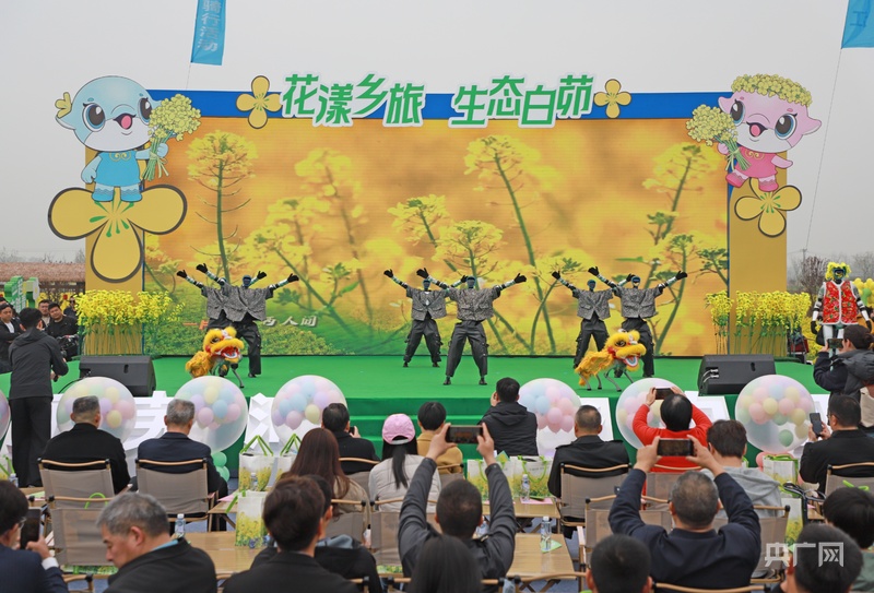 春天“鸠”去白茆赏油菜花海(图1)